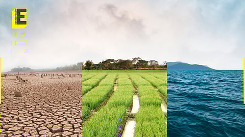 Net-zero challenges on Engineer's Day