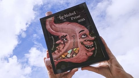 The physics of pasta sauce, pizzas liked by lizards & painted cows — all the winners of the Ig Nobel Prize 2025