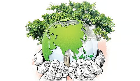 Kerala Forest department all set to groom school students under ‘Eco Cadets’ programme