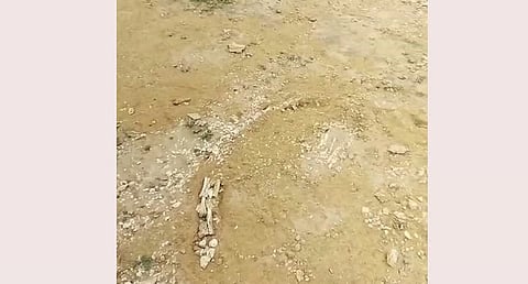 Suspense over Phytosaur fossil in Jaisalmer village