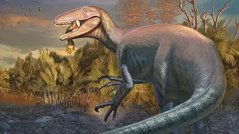 New fossil of “mysterious” dinosaur called Joaquinraptor discovered in Argentina