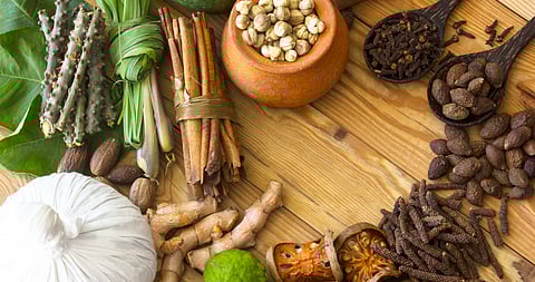 Govt plans to integrate Ayurveda into school, college curricula