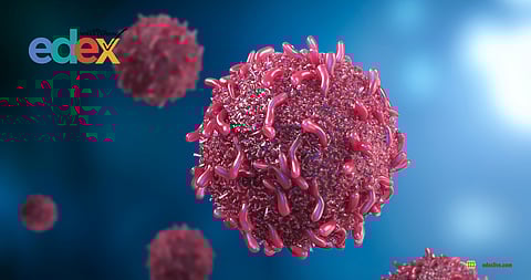 IISER Kolkata Cancer Research