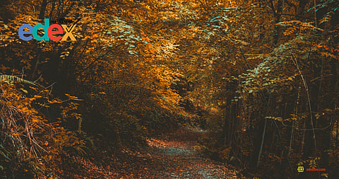 Rebirth and revival in Autumn poems