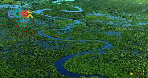 Kerala at an ecological crisis