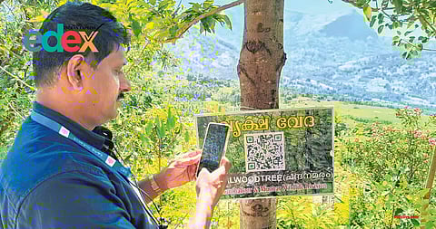 A visitor scanning the QR code attached to a tree on the IHRD College campus in Kanthalloor following the launch of the Vrikshaveda project