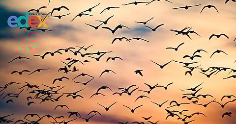 Himalayan habitat loss