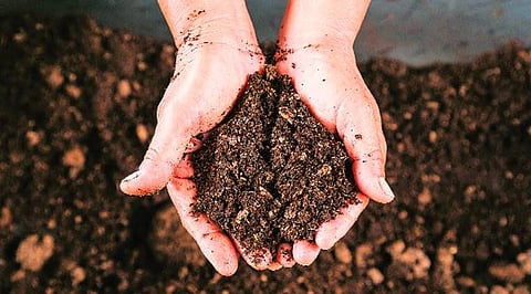 World Soil Day 2025 promotes soil conservation in urban areas