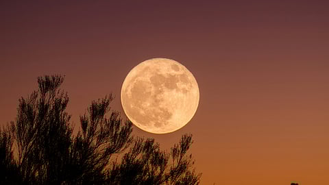Look up; it’s the last Supermoon of 2025!