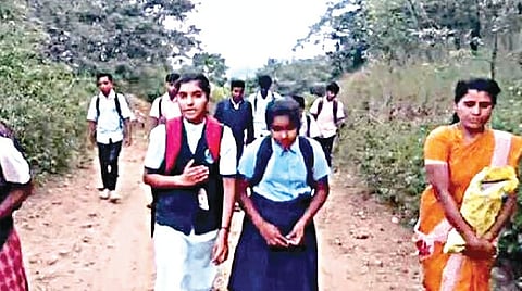 Pachedoddi students brave 14 km daily trek for education, seek CM's intervention