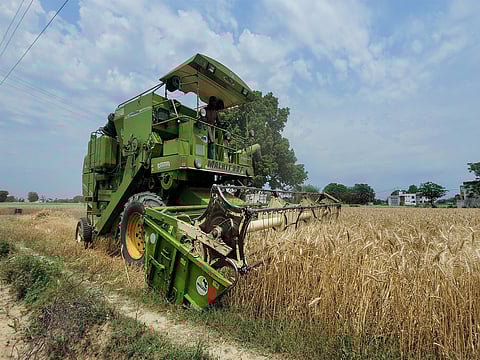 80% of Indian rural households consistently report higher consumption over the past year: NABARD survey