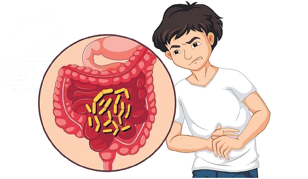 Gut microbial imbalance can impact memory: Indo-German study