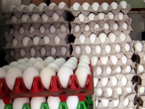 FSSAI to collect samples to check nitrofurans presence in eggs
