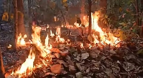 A fire point in Podadiha range under Similipal South Wildlife Division.
