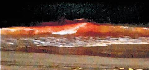 Red-tinged waves sighted along the RK Beach coast near Kursura Submarine Museum in Visakhapatnam on Monday night.