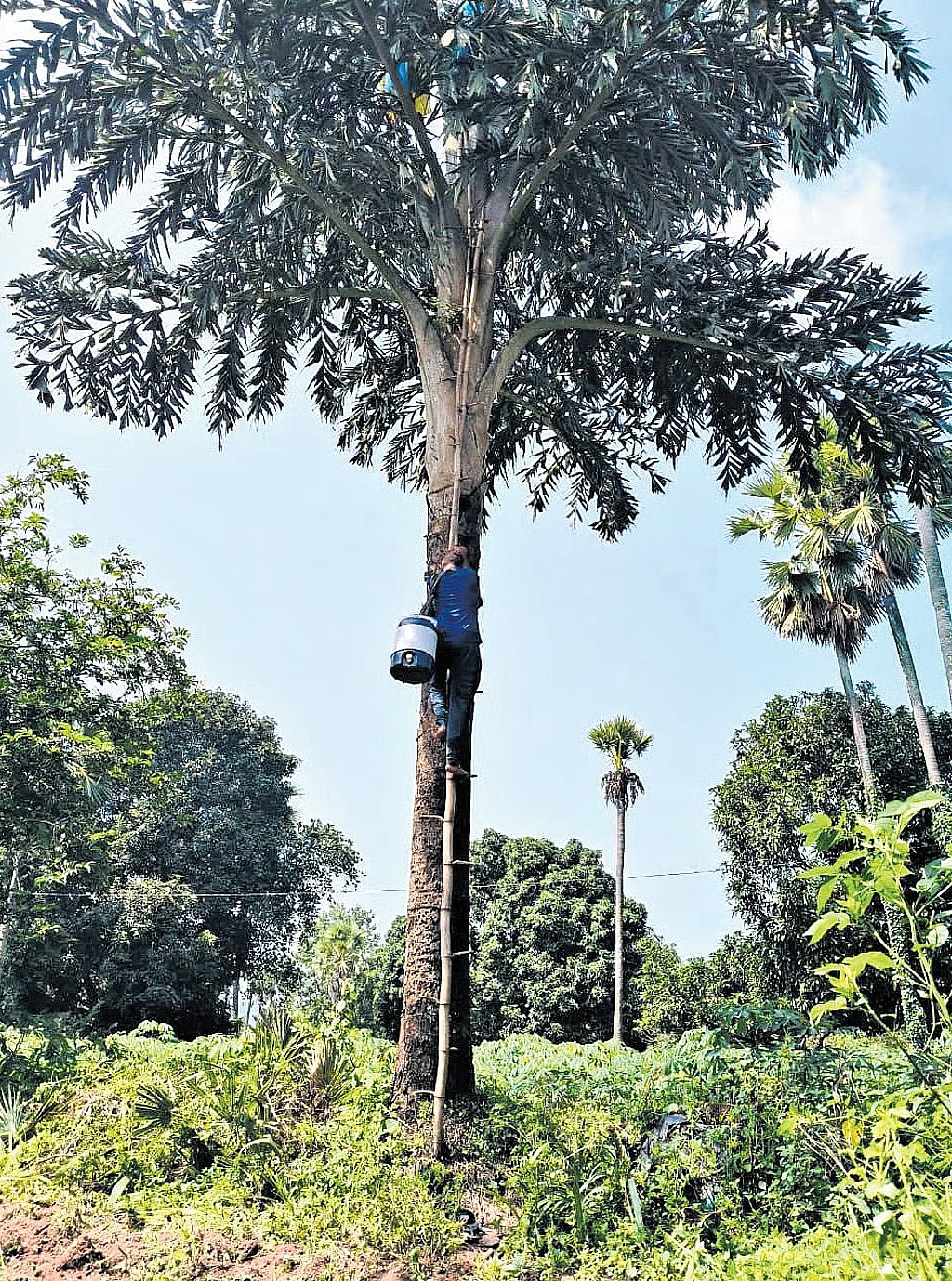 Scientist’s innovation brings prosperity to tribal farmers in Andhra