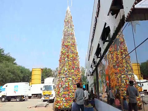 Kerala: 30-foot-tall eco-friendly Christmas tree made of 2,800 plants set up in Malappuram