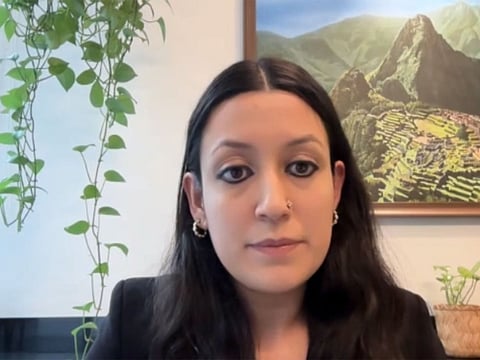 India's critical minerals mission directionally right but moving slower than expected: Novasensa