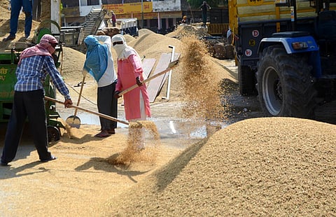 India’s new Labour Codes set to boost employment, economic growth