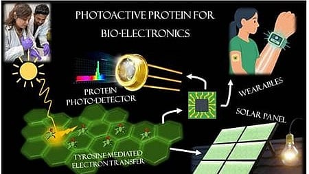 INST scientists discover bacterial protein, opening path to green electronics