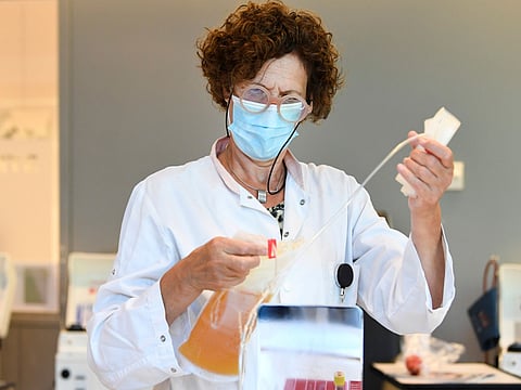 Injection turns sleeping tumour immune cells into cancer fighters: Study 