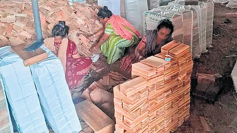 Workers engaged in processing pencil slats at a manufacturing unit in Kollam.