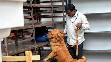 Several schools in Chandigarh receive bomb threat emails; students, staff evacuated