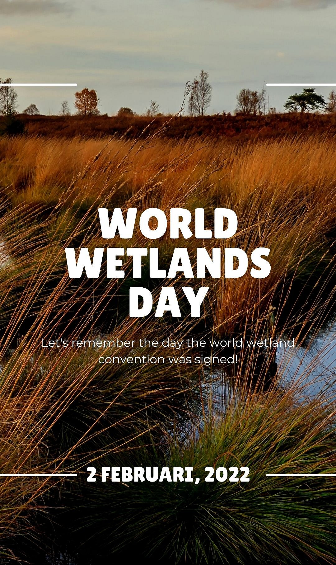 World Wetlands Day 2026: Why wetlands matter more than you think