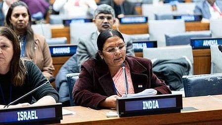 Social justice key to Viksit Bharat goals: India at UN 