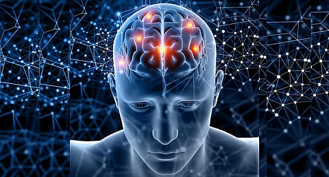 Image used for representation
