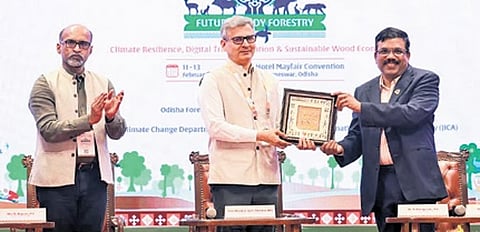 Include wood-based systems in national building code: Experts