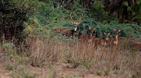 Image used for representational purposes 