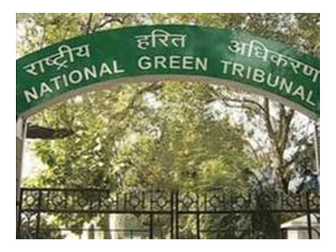 Sundarbans erosion: NGT seeks long-term protection strategy