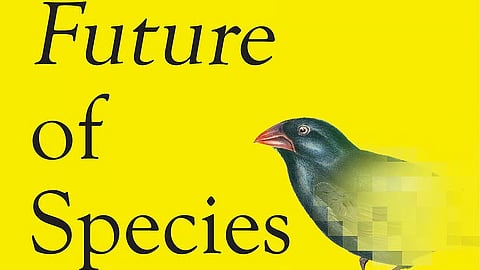 The perils of playing God