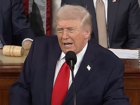 Trump in his State of the Union address announces data centres energy deal
