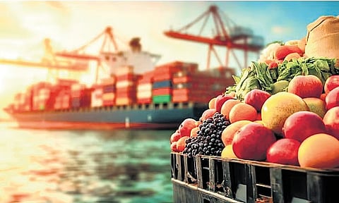 Fruits, vegetables, flowers and perishable grocery consignments bound for Europe, US, and Canada are facing delays, rising freight costs, and, in some cases, spoilage risks.
