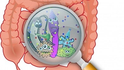 Your gut microbiomes & heart are closer than you think