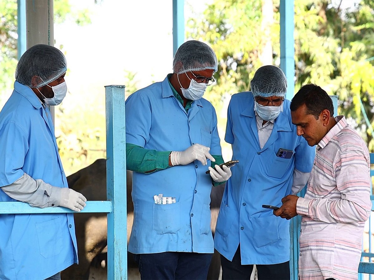 Gujarat Launches FMD Vaccination Drive Under National Programme | Quick Digest