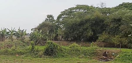 Odisha: Kushunupur selected as