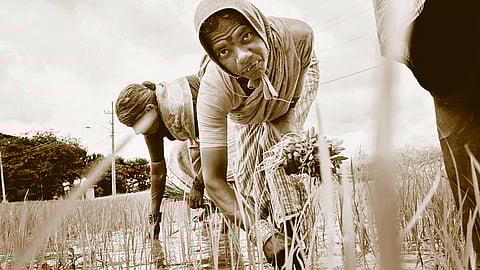 Bengal in the times of Gandhi land