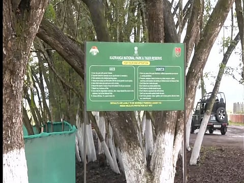 Kaziranga National Park becomes major retreat for travellers amid Assam polls