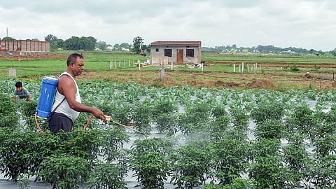 India to unlock Southeast Asia's USD 90 billion AgriTech growth potential: Study
