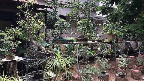 The Bonsai Kerala outlet in Thiruvananthapuram.
