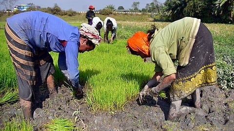 Top 10% rural households control 44% land in India: report