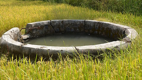 Rainwater harvesting now mandatory in Delhi