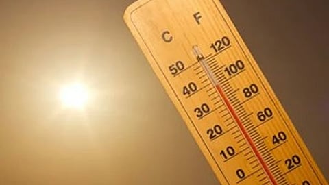 The deceased teacher’s wife alleged that exposure to extreme heat and harsh weather conditions during census duty caused his death.