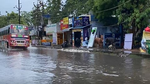 Heavy rain, winds force school closure in 5 Mizoram districts