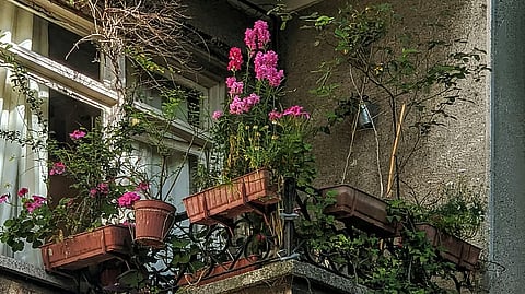 (PHOTO | Guzel Sadykova on Pexels )