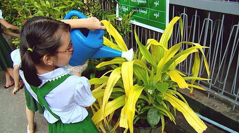 Activities accompany the film screening, so the children get to learn something new as well.