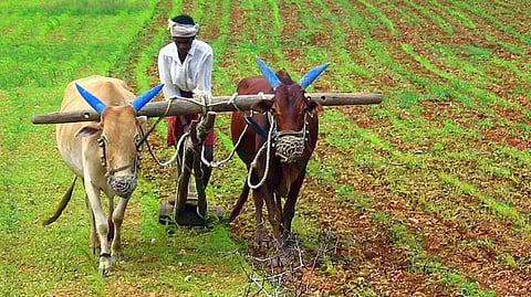 The state government wants all the farmers in UP to posses soil health card by March 2018 | Representative image